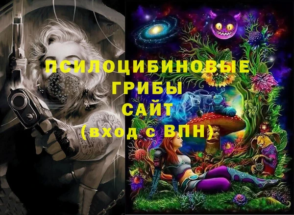 шишки Вязьма