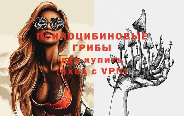 метадон Вяземский