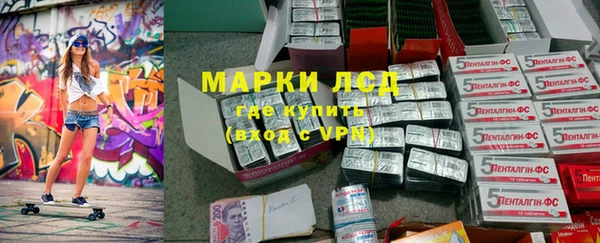 прущие грибы Гусиноозёрск