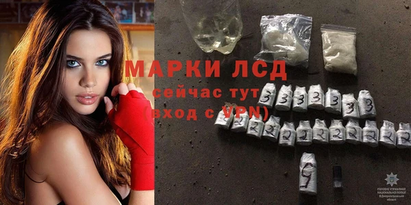 шишки Вязьма
