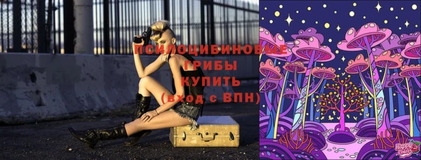 метадон Вяземский