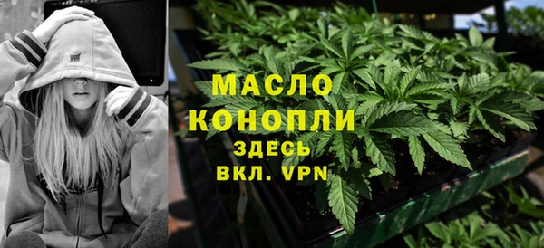 прущие грибы Гусиноозёрск
