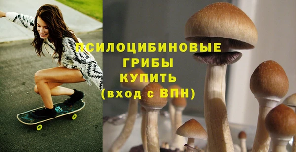 ECSTASY Вязники