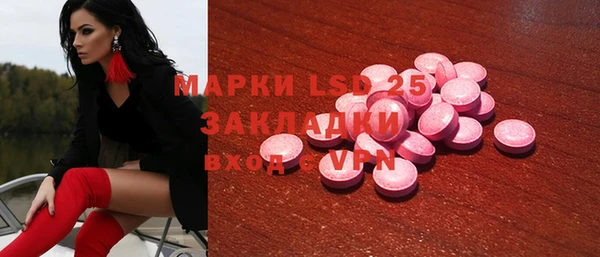 индика Горно-Алтайск