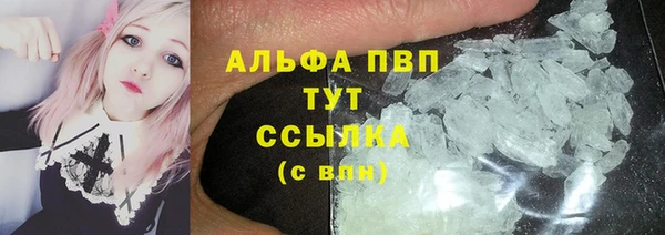 прущие грибы Гусиноозёрск