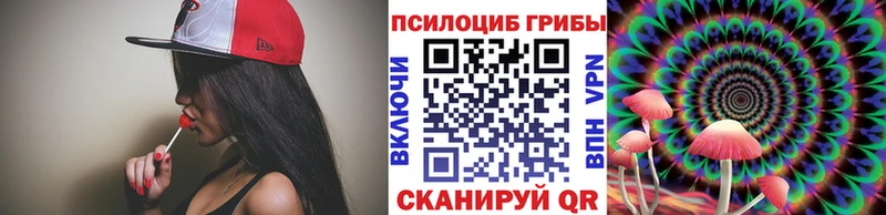 Купить закладки  Ардатов  Псилоцибиновые грибы Psilocybine cubensis 